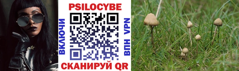Псилоцибиновые грибы Magic Shrooms  Раменское 